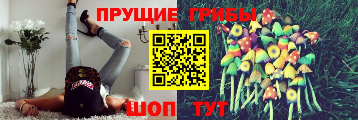 Галлюциногенные грибы Magic Shrooms Карпинск